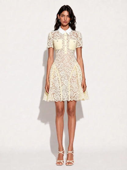 Skylar Collared Lace Mini Dress