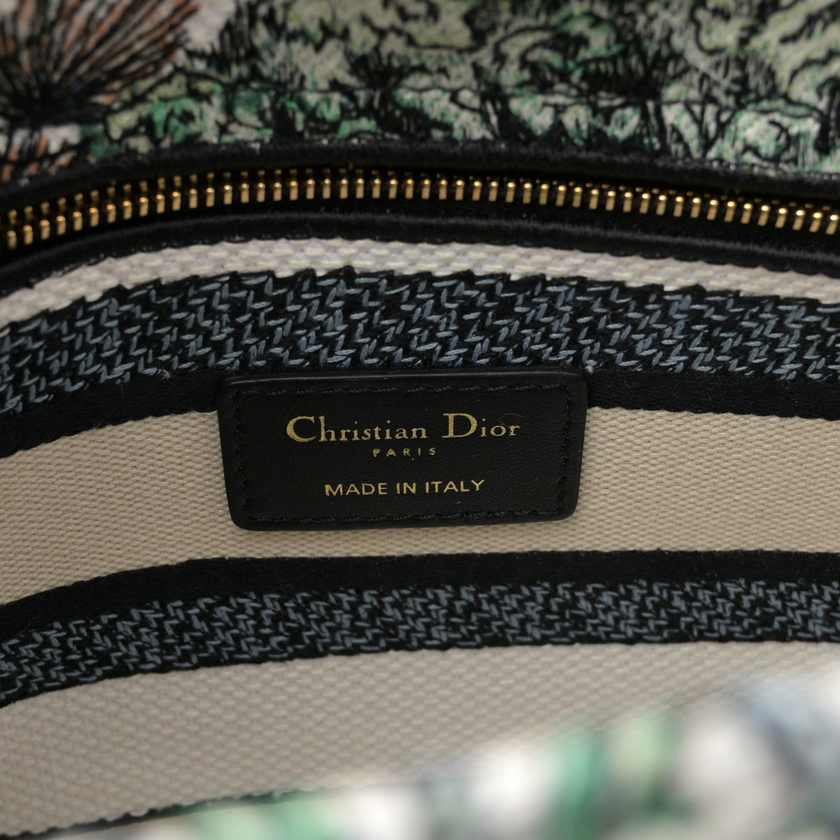 Canvas Embroidered Etoile de Voyage Medium Lady D-Lite Multicolor