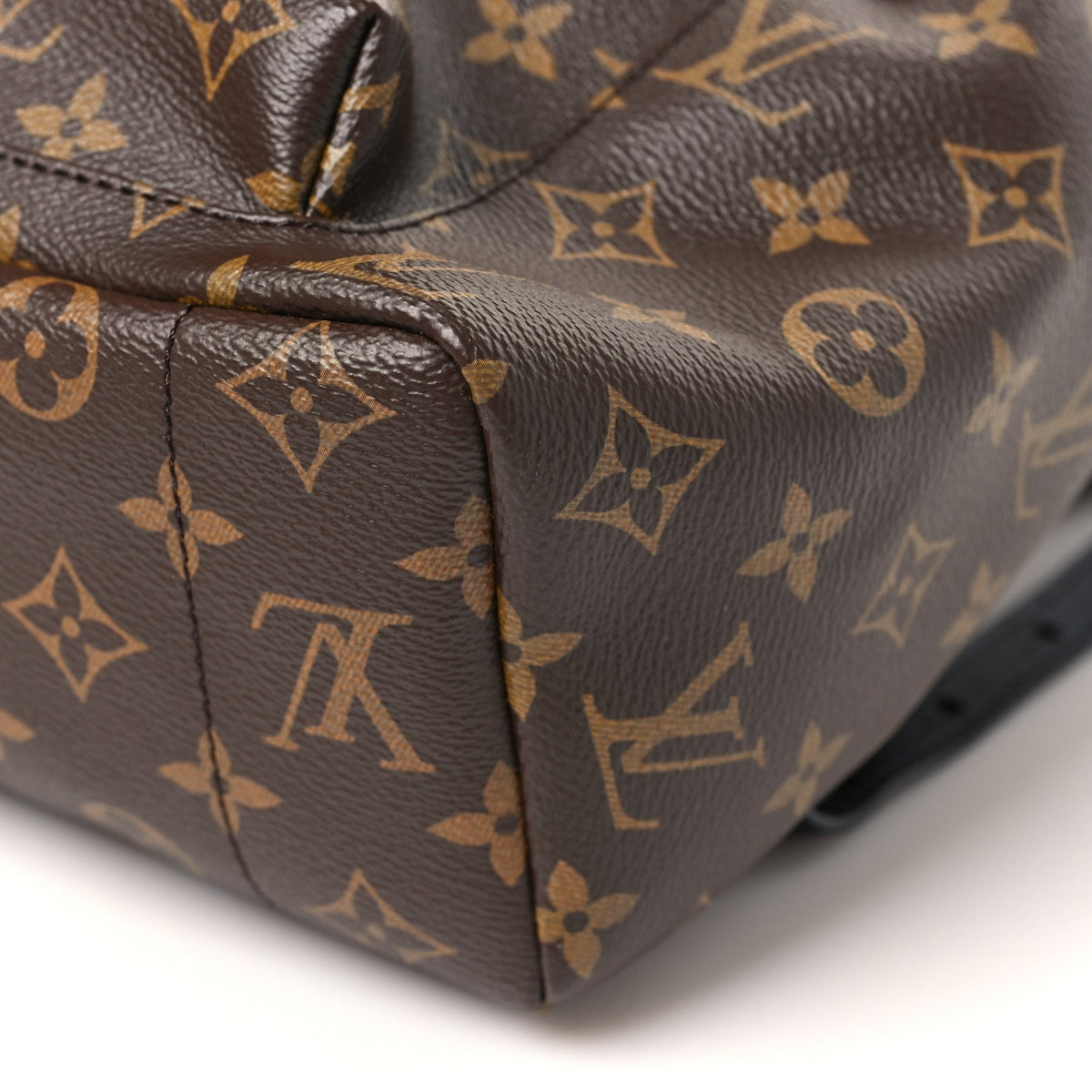 Monogram Palm Springs Backpack MM