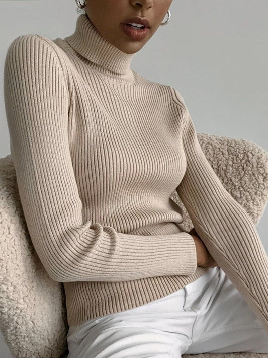 Casual Long Sleeves Skinny Solid Color High-Neck Sweater Tops