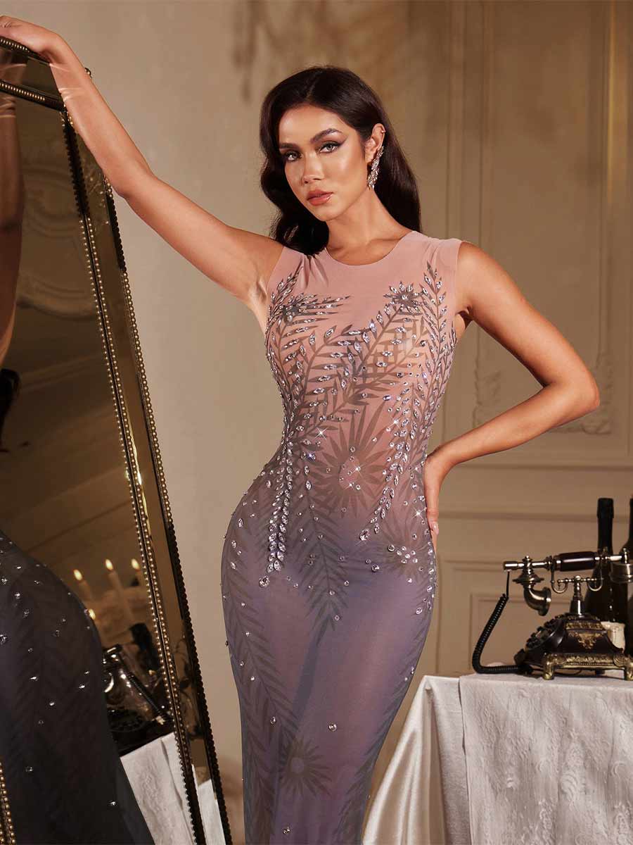 Roselyn Sleeveless Rhinestone Mesh Maxi Dress