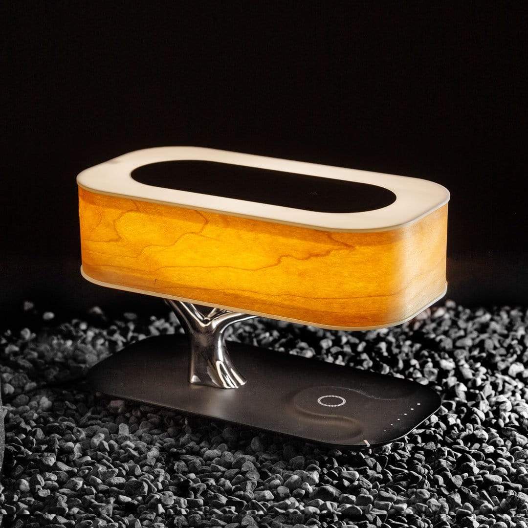 Light Of Life (Wireless Charging & Bluetooth Speaker)