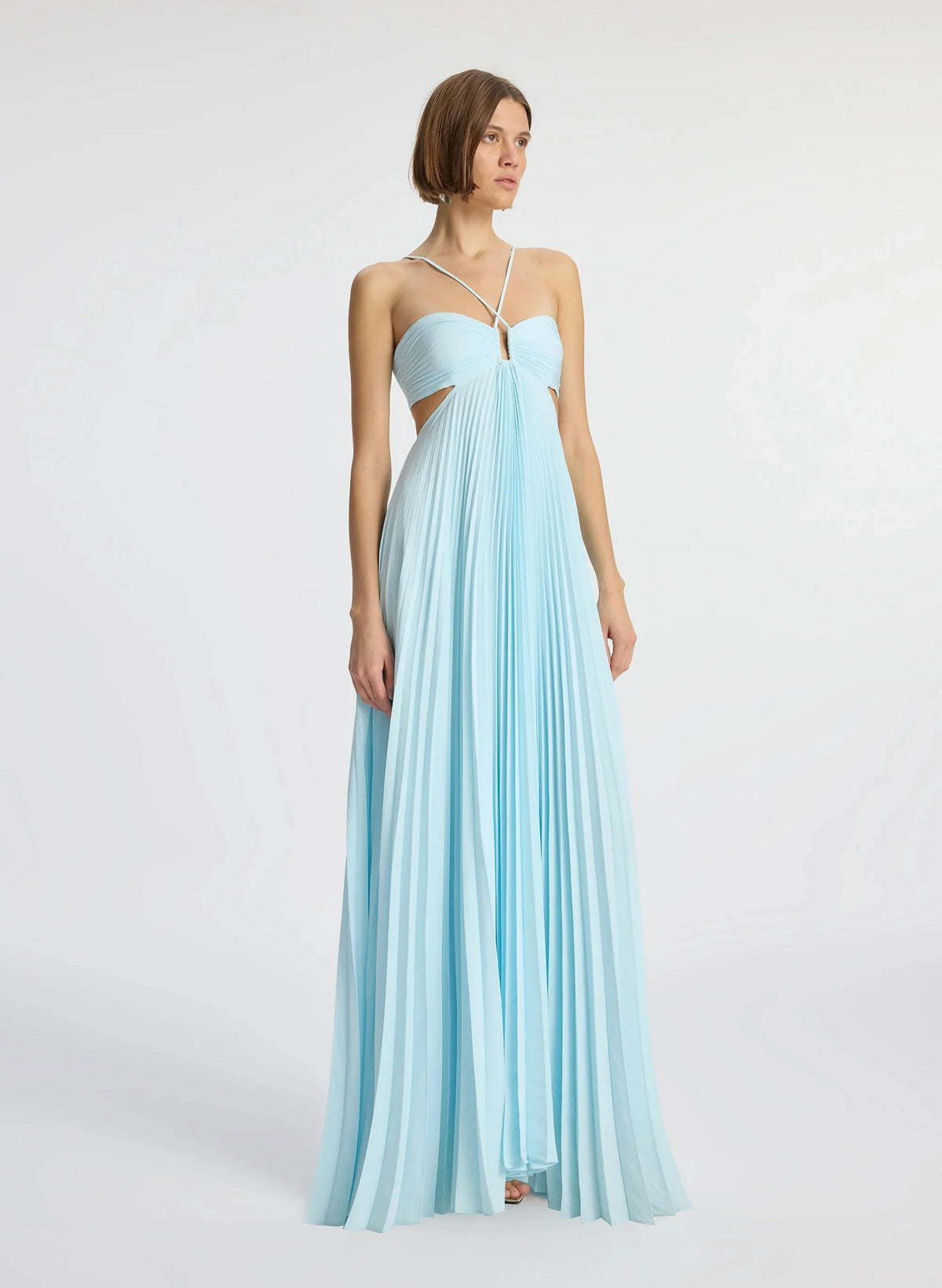 Moira Matte Pleated Dress