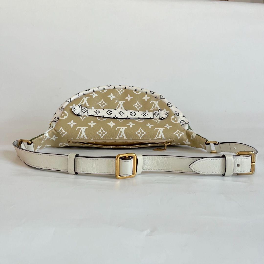 Louis Vuitton Bumbag Limited Runway Giant Monogram