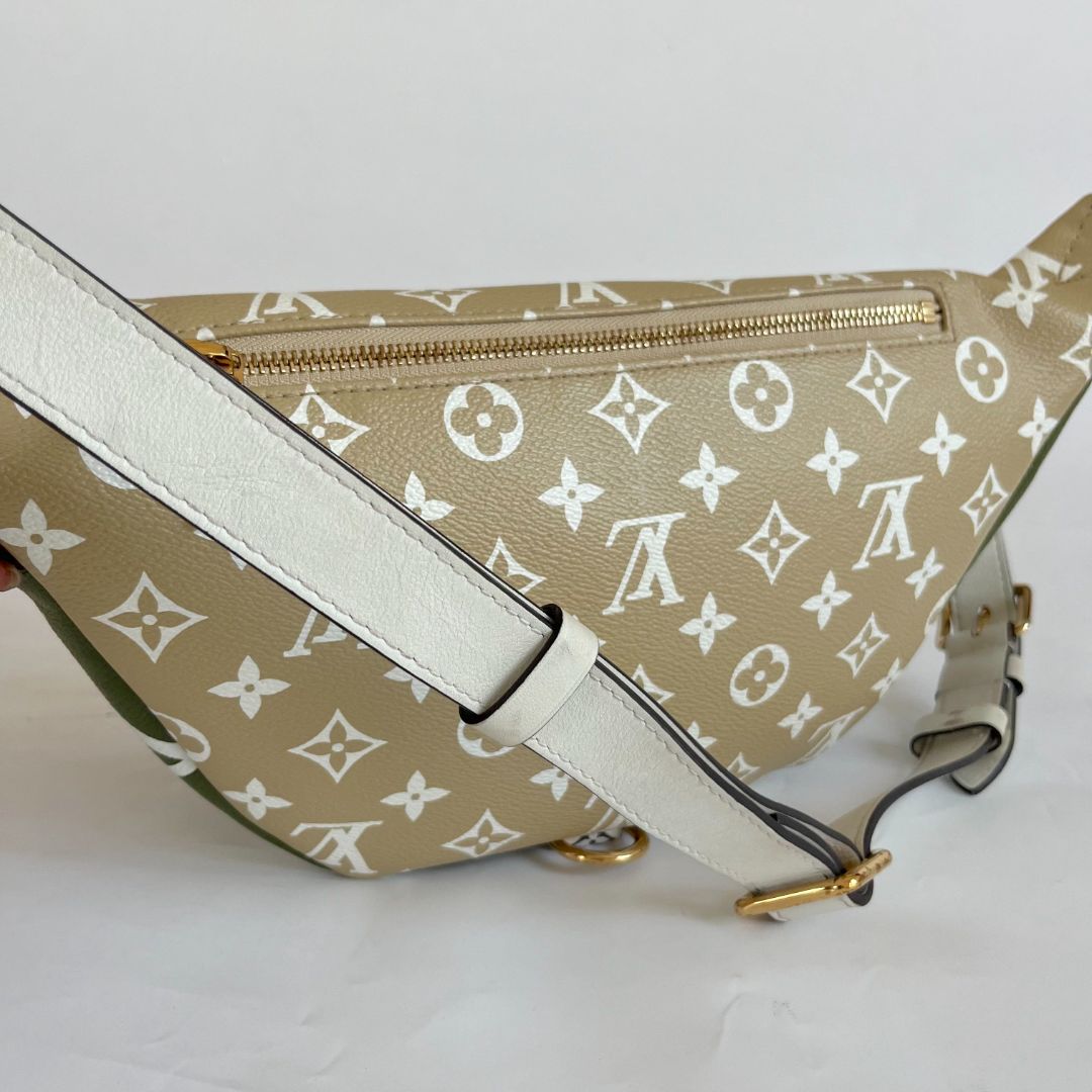 Louis Vuitton Bumbag Limited Runway Giant Monogram