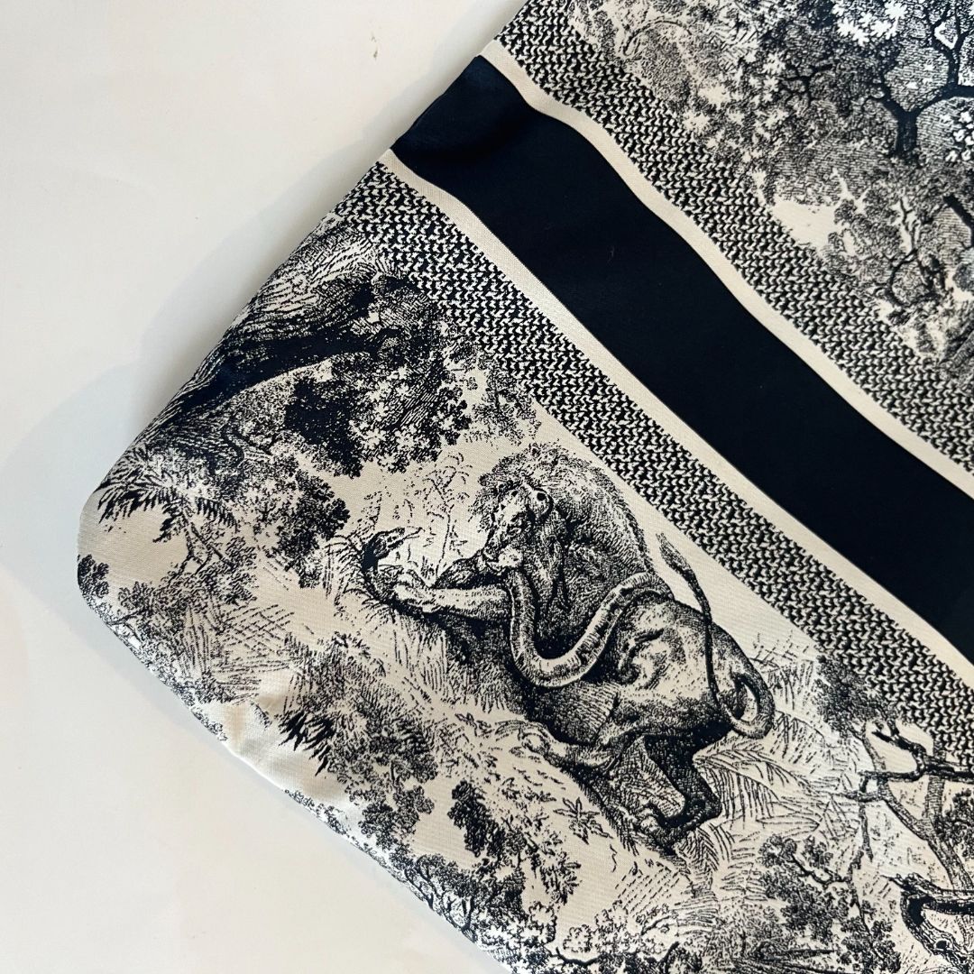Christian Dior Printed Zip Pouch
