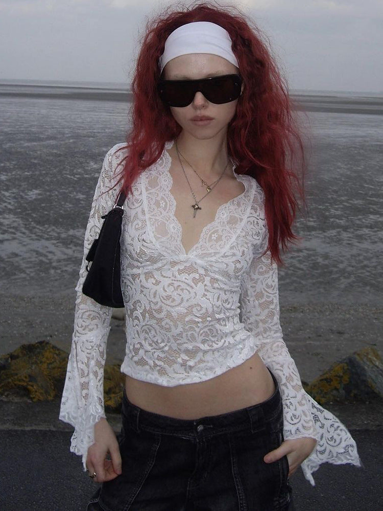Sexy Deep V Lace Crop Top with Long Sleeves