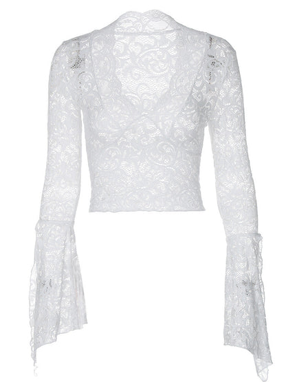 Sexy Deep V Lace Crop Top with Long Sleeves