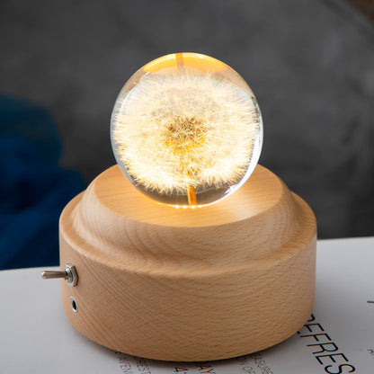 Dandelion Glowing Night Light Crystal Ball Eternal Flower Gift Wooden Birthday Gift For Girl