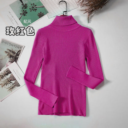 Long Sleeve High Neck Solid Color Sweater Comfortable Casual Wear