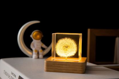 Dandelion Glowing Night Light Crystal Ball Eternal Flower Gift Wooden Birthday Gift For Girl