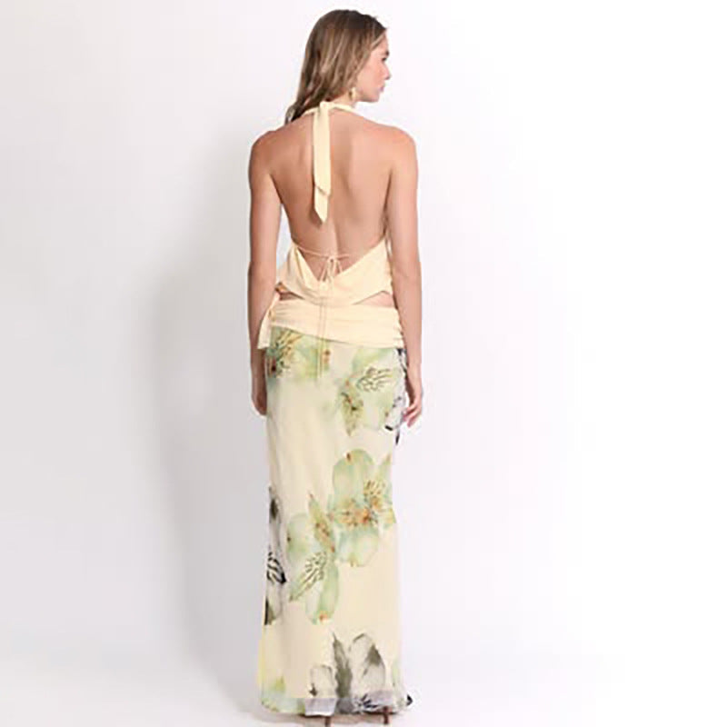 Trendy Sexy Backless Halter Top & Long Skirt Set