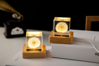 Dandelion Glowing Night Light Crystal Ball Eternal Flower Gift Wooden Birthday Gift For Girl