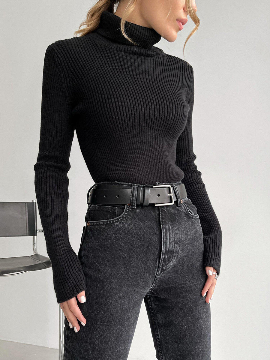 Long Turtleneck Knitted Sweater for Plus Size Women