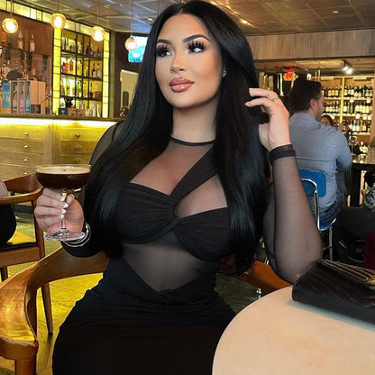 Elegant Long Sleeve Sheer Mesh Bodycon Dress
