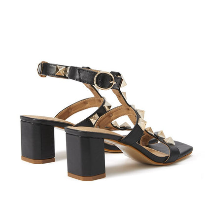 Ari Heels