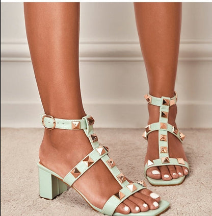 Ari Heels