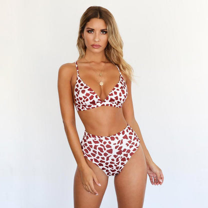 Two Colors Leopard High Waist Ladies Bikini Two-Piece