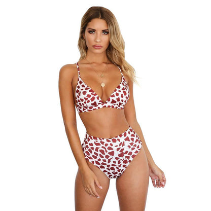 Two Colors Leopard High Waist Ladies Bikini Two-Piece