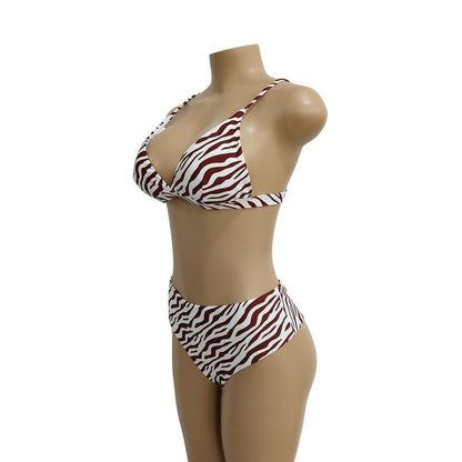 Two Colors Leopard High Waist Ladies Bikini Two-Piece