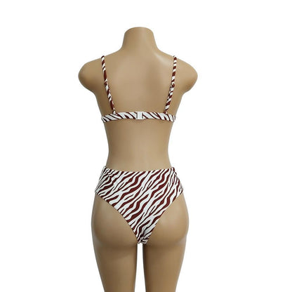Two Colors Leopard High Waist Ladies Bikini Two-Piece