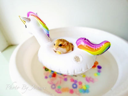 Unicorn Inflatable Floating Drink Holder Swimming Toy