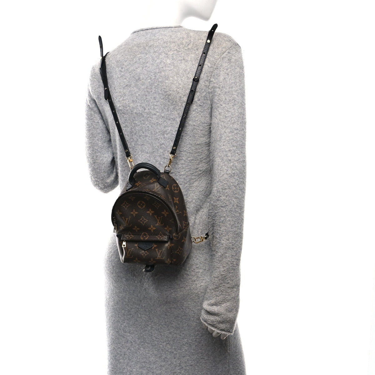 Monogram Palm Springs Backpack Mini