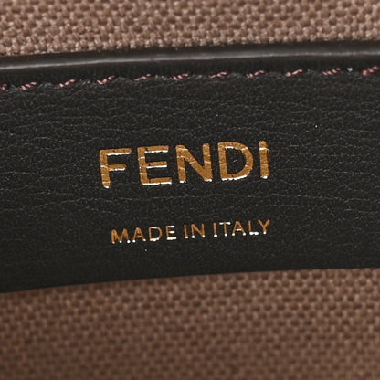Kuban Canvas Vitello King F is Fendi FF Embroidered Mini Mon Tresor Bucket Bag Tartufo Ebano Multicolor