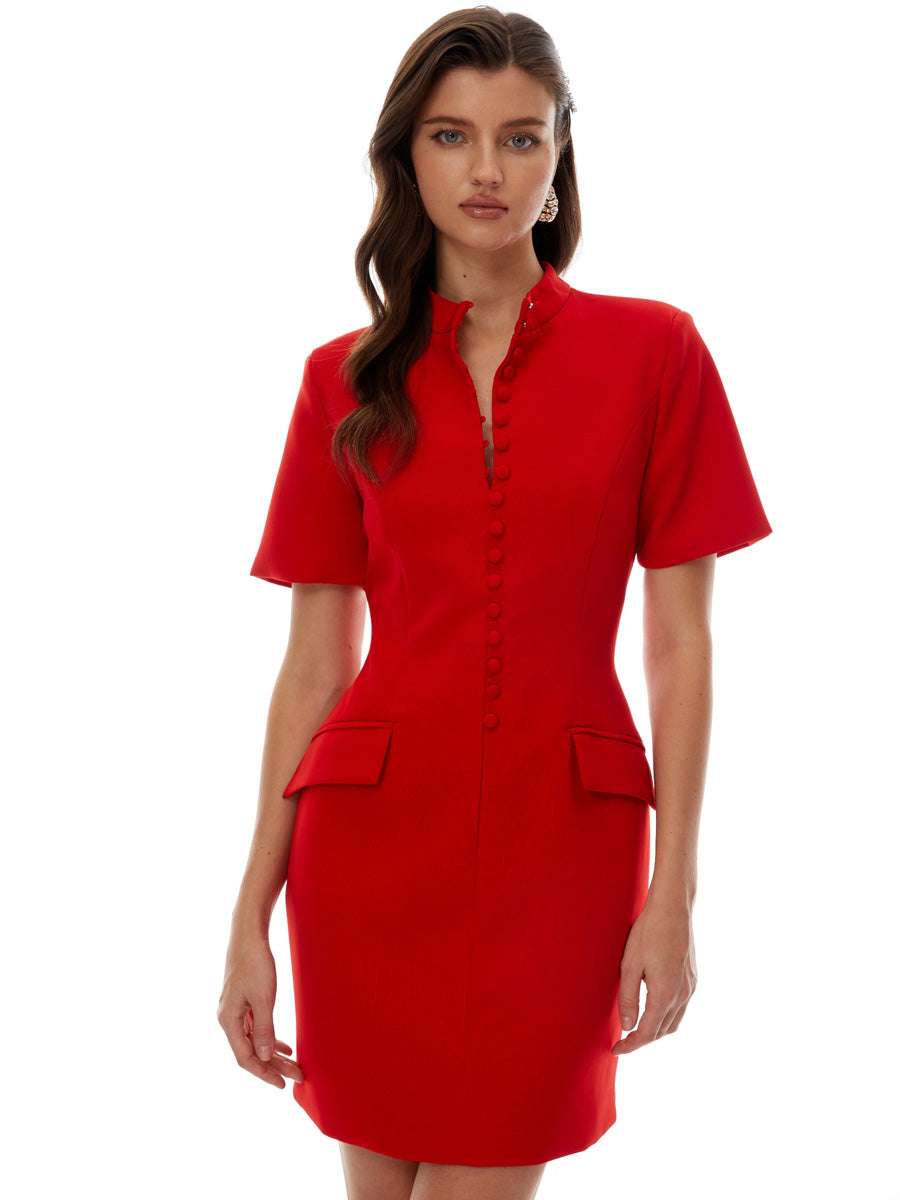 Sophia Stand Collar Short Sleeves Mini Dress
