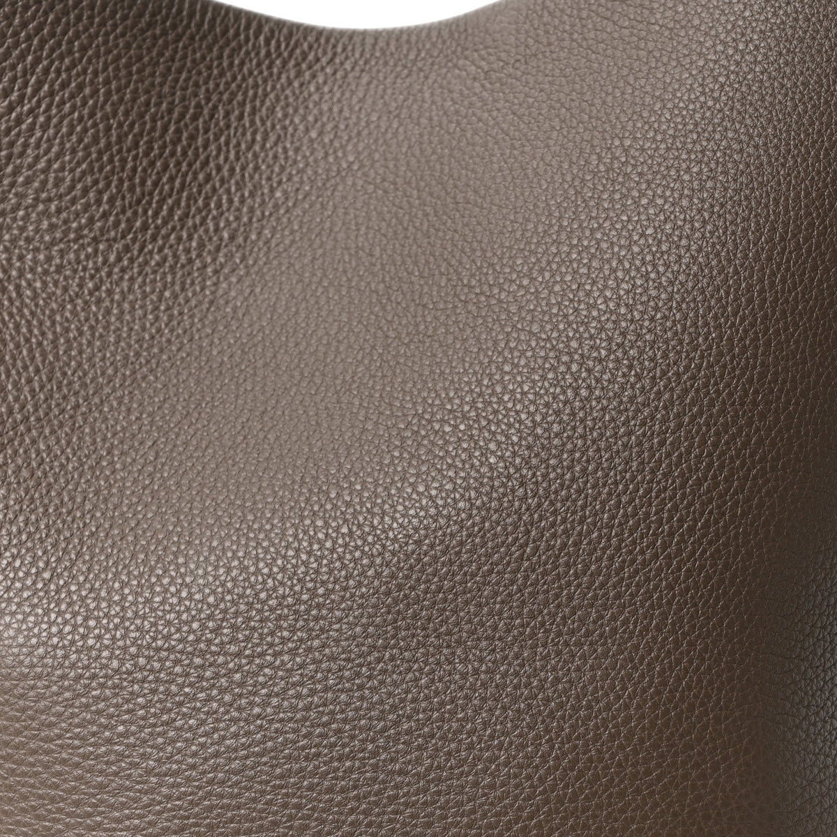 Grained Calfskin Large N/S Park Tote Elephant