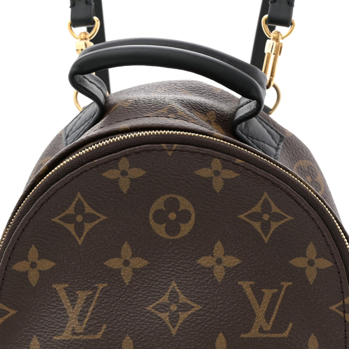 Monogram Palm Springs Backpack Mini