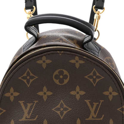 Monogram Palm Springs Backpack Mini