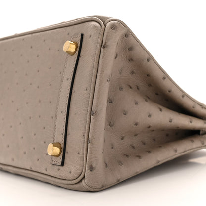 Ostrich Birkin 25 Gris Tourterelle