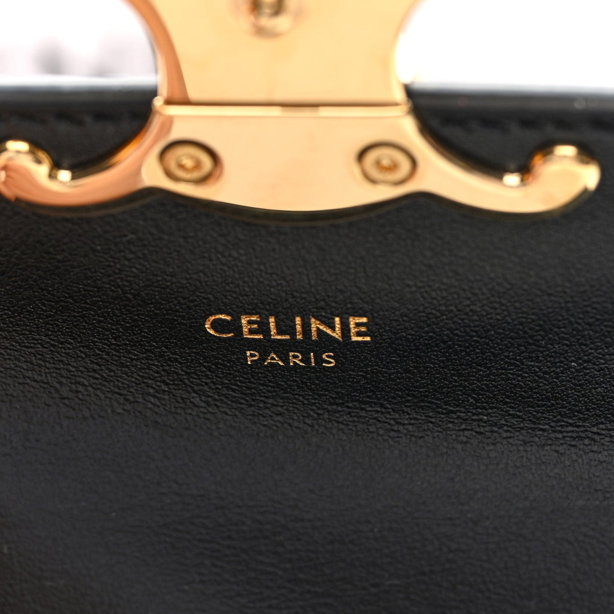 Shiny Calfskin Mini Triomphe Black