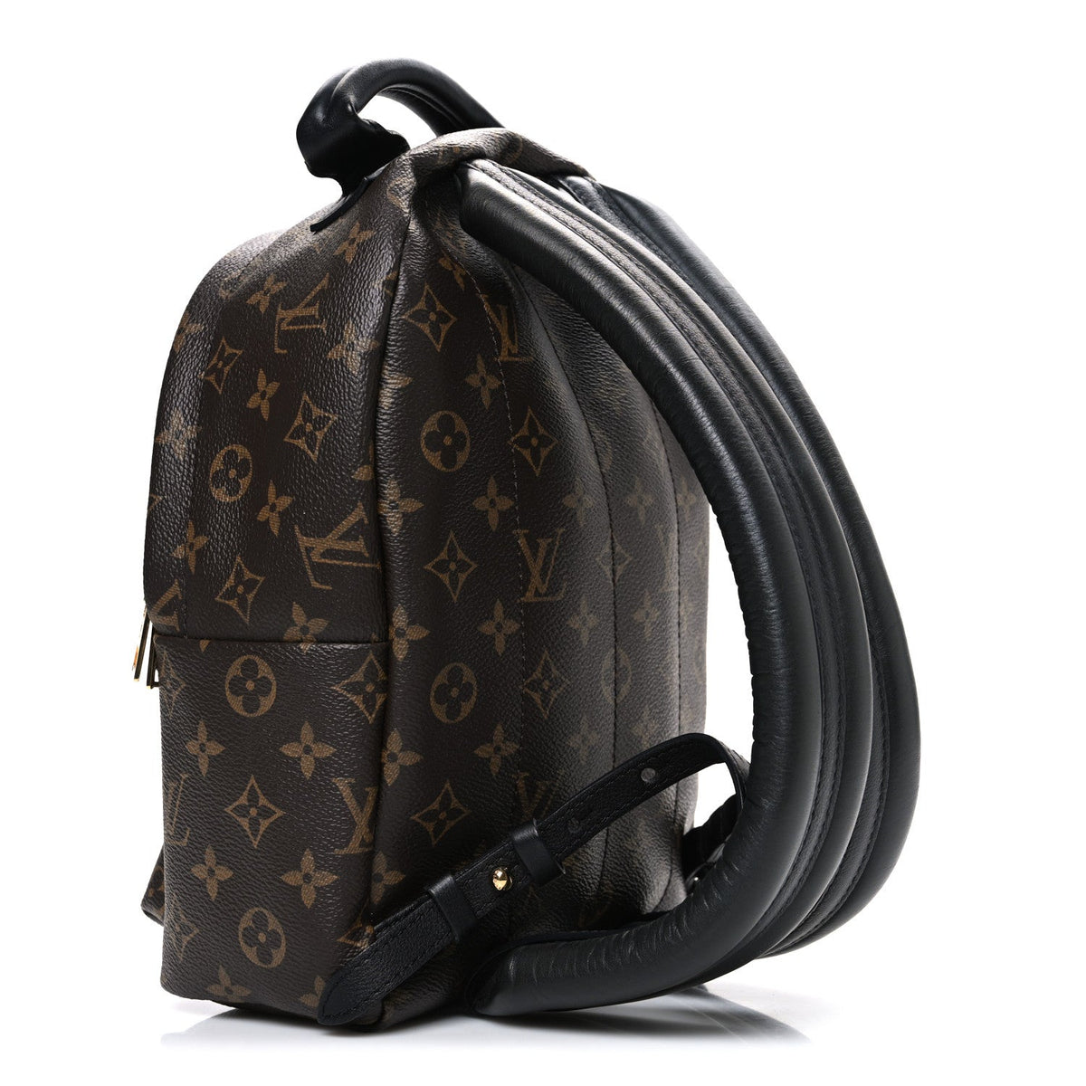 Monogram Palm Springs Backpack PM