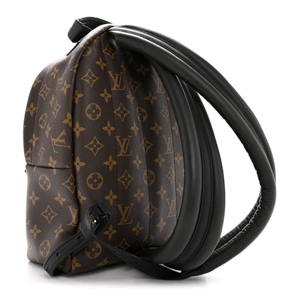 Monogram Palm Springs Backpack PM