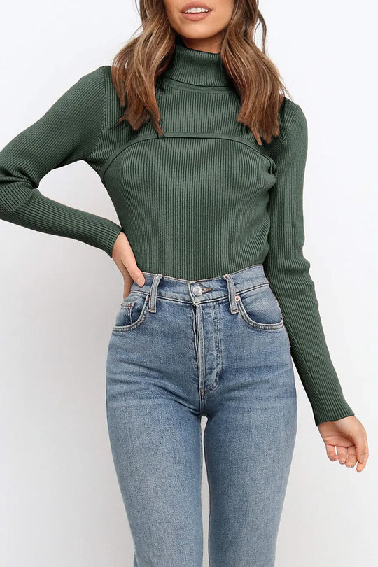 Turtleneck Bodycon Long Sleeves Knit Sweater