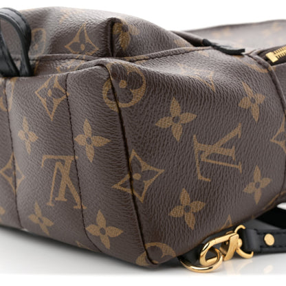 Monogram Palm Springs Backpack Mini