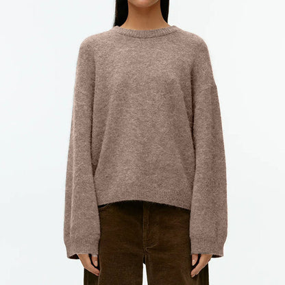 Fall Crew Neck Casual Thicken Warm Sweater
