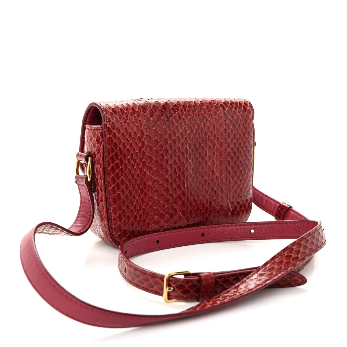 Watersnake Teen Triomphe Ruby