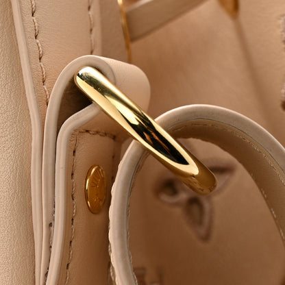 Calfskin Monogram Cutout Petit Noe Neutral