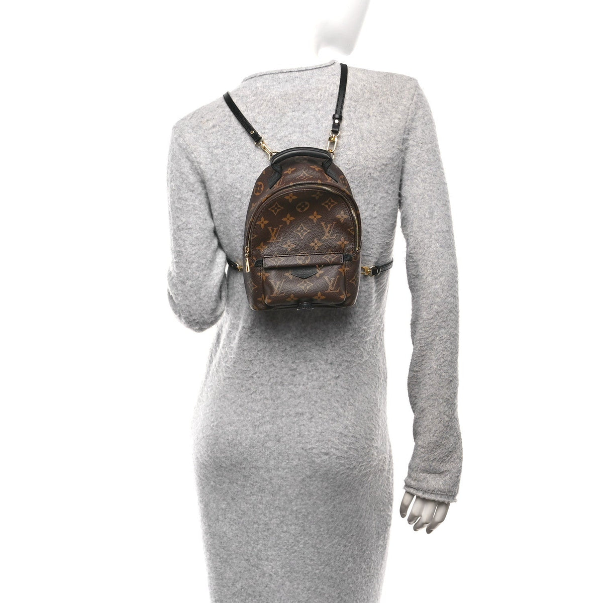 Monogram Palm Springs Backpack Mini