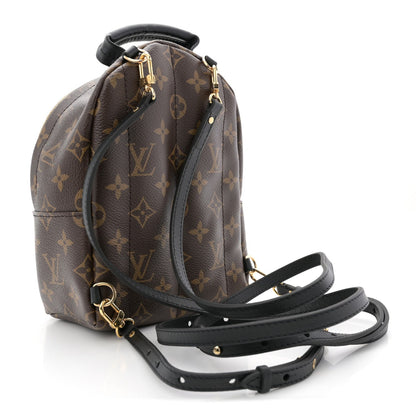Monogram Palm Springs Backpack Mini