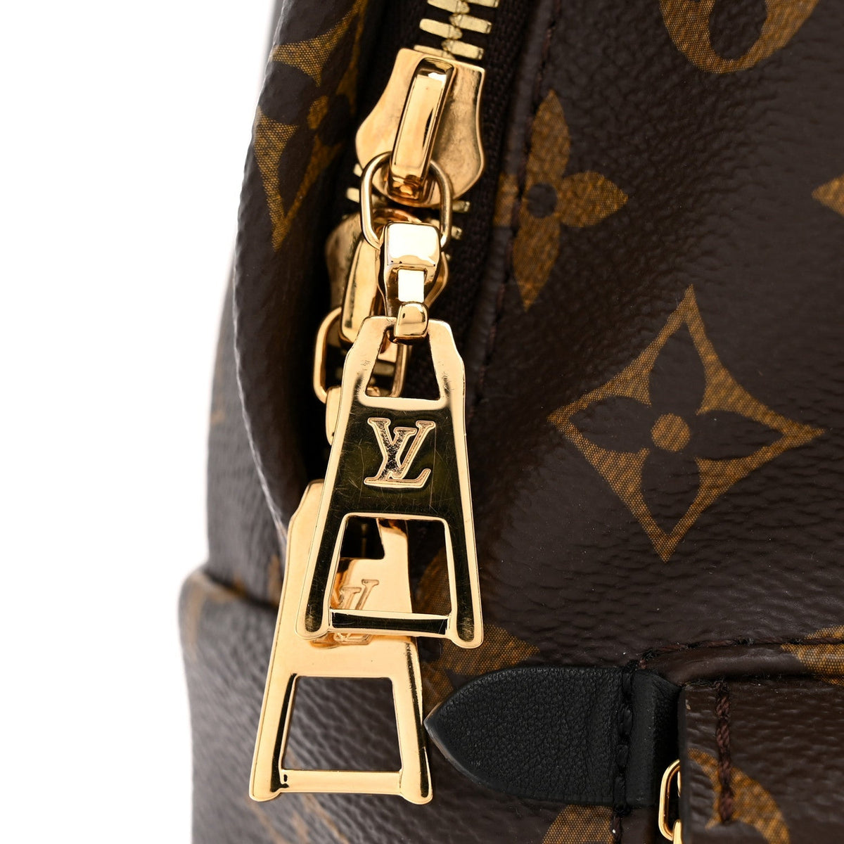 Monogram Palm Springs Backpack PM