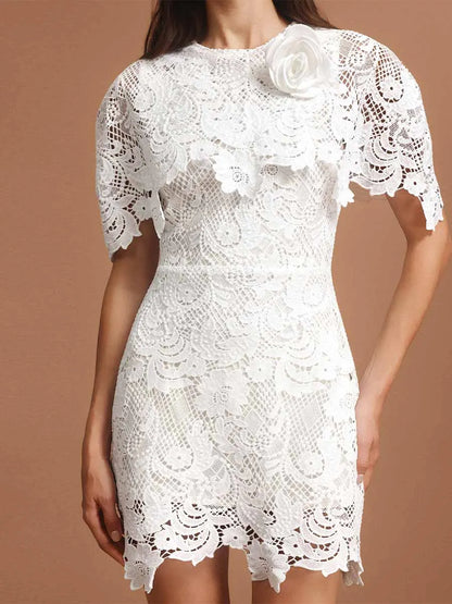 Arabella Round Neck Short Sleeves Lace Mini Dress