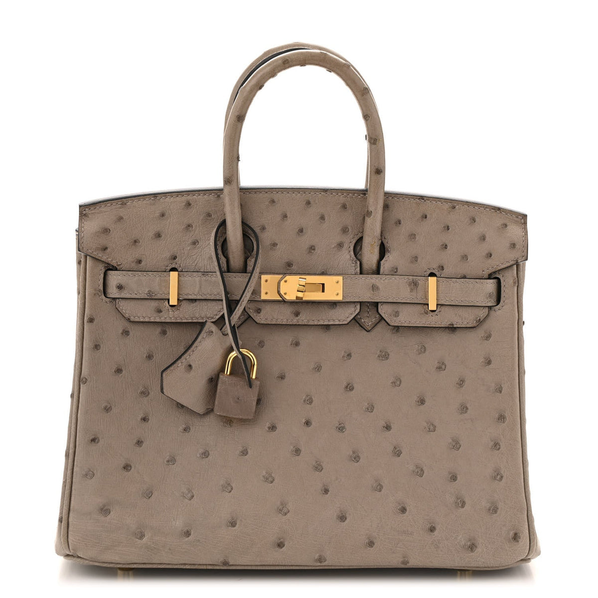 Ostrich Birkin 25 Gris Tourterelle