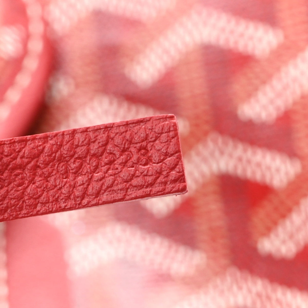 Goyardine Saint Louis PM Red