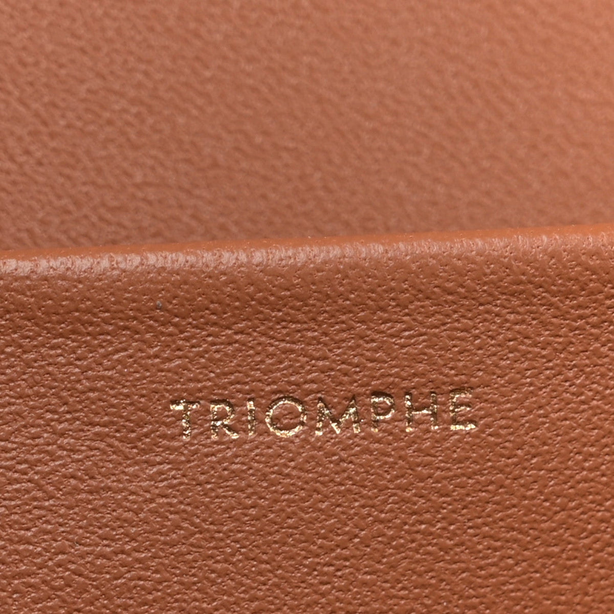 Triomphe Canvas Calfskin Medium Triomphe Bag Tan