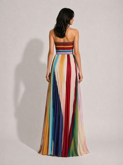 Aniya Elegant Waist-Cinching Pleated Printed Maxi Dress