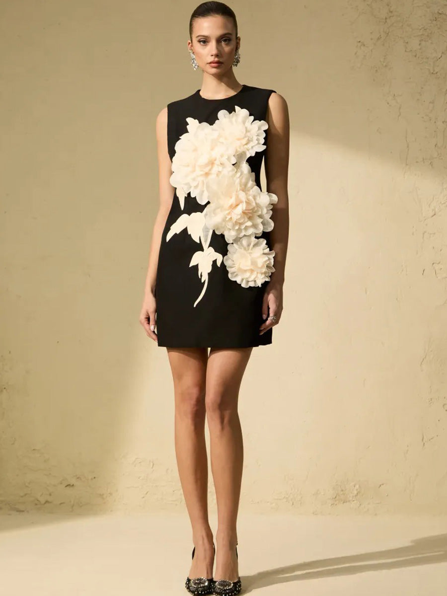 Brielle Floral Applique Sleeveless Mini Dress
